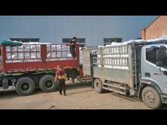 کلر پلی اتیلن CPE 135A PVC Impact Modifier برای لوله های PVC پودر سفید